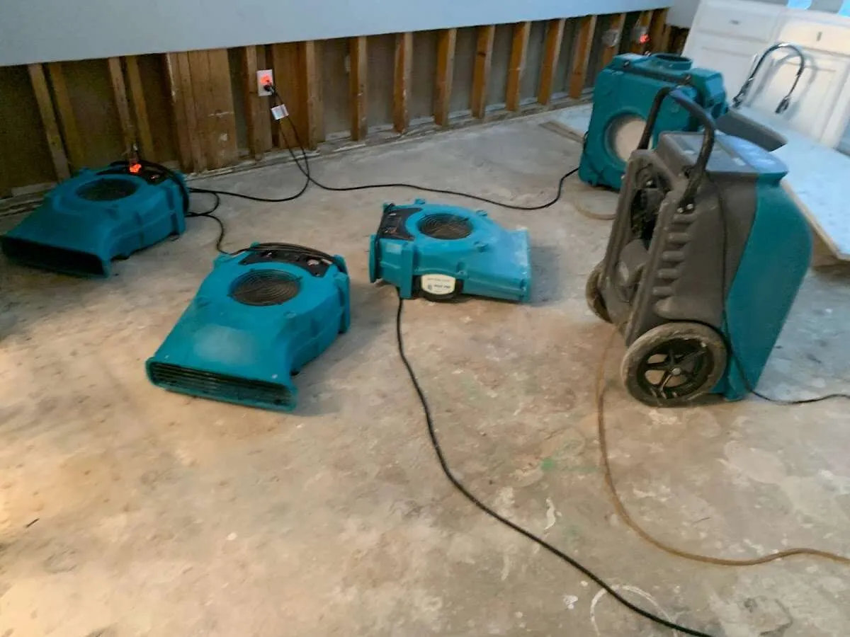 Drying & Dehumidification in Dickinson, TX
